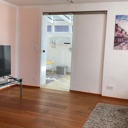 Fewo Luxus Wohnung Im Eigenen Ferienhaus, 120 Qm, Naehe Regensburg Mit Balkon, Terrasse & Garten, Gute Zuganbindung Laber 외부 사진