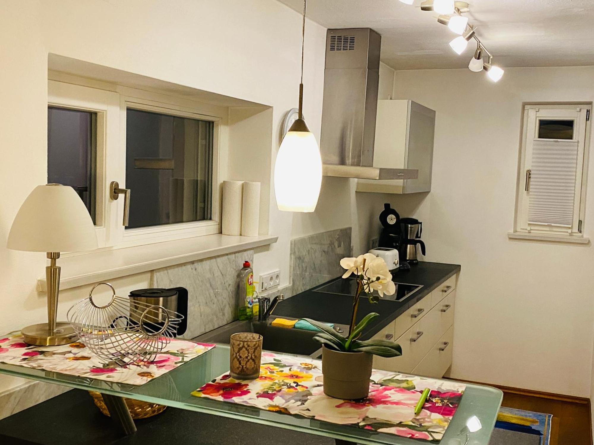 Fewo Luxus Wohnung Im Eigenen Ferienhaus, 120 Qm, Naehe Regensburg Mit Balkon, Terrasse & Garten, Gute Zuganbindung Laber 외부 사진